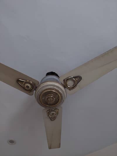 GFC ceilling fan  100 percent copper