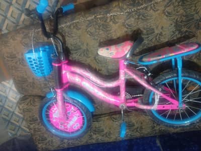 brand new condition