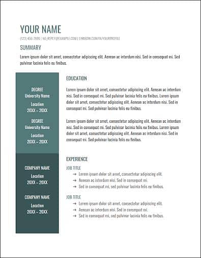 Professional CV & Resume Design making service