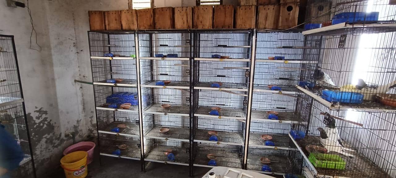 cages 0
