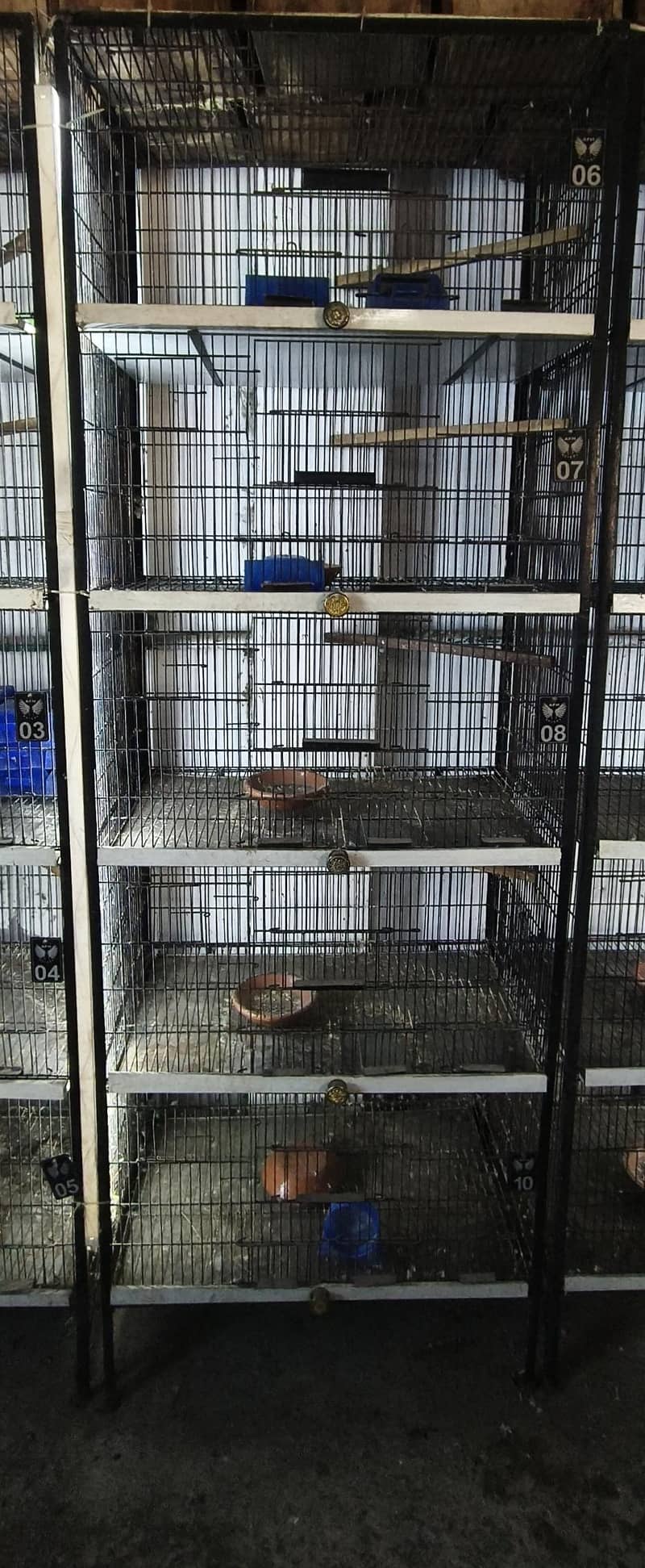cages 1