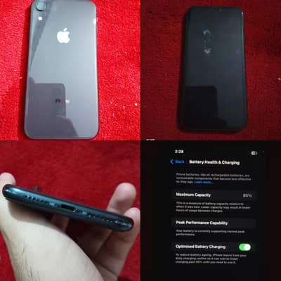 Iphone XR 64 GB lush condition Non Pta