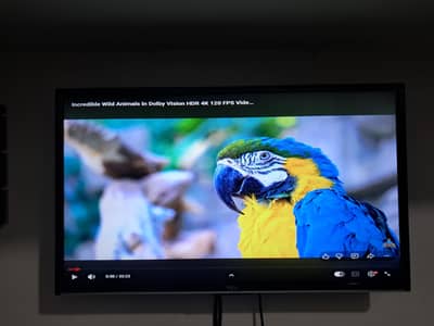 Android TCL LED