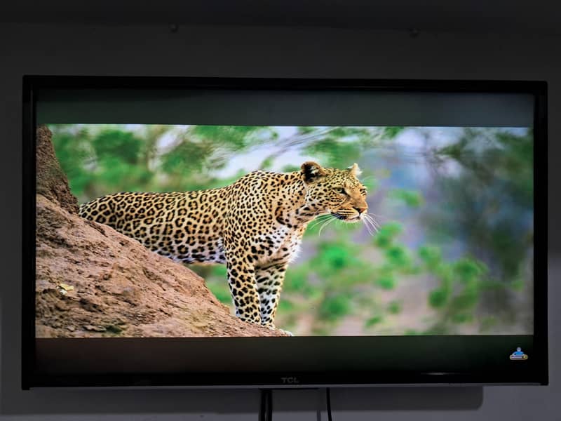 Android TCL LED 1