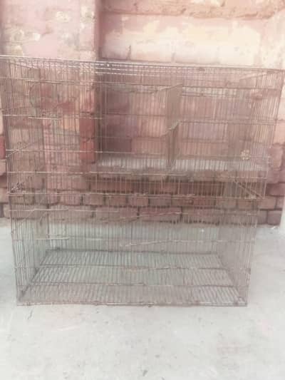 birds Cage
