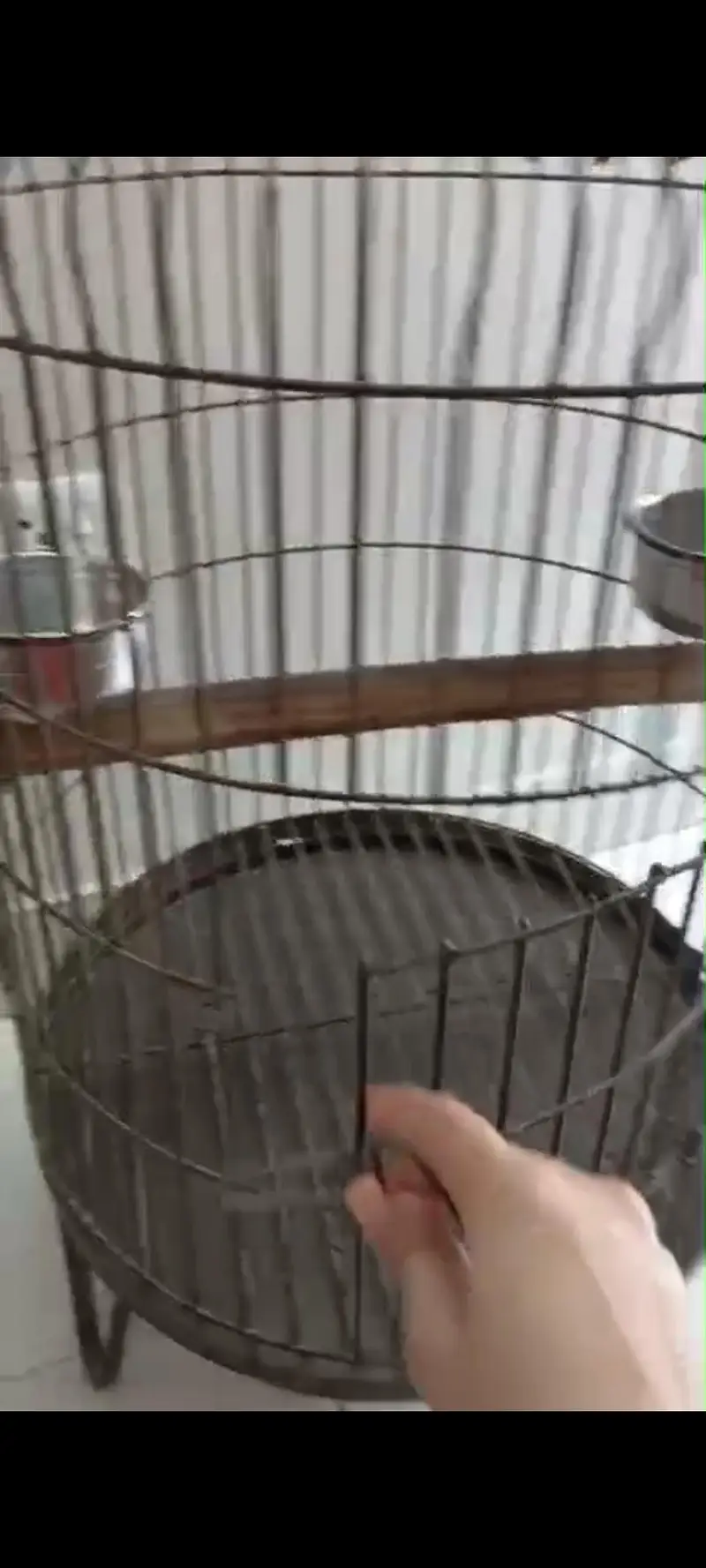 Heavy Duty Parrot Cage for Macaw & Large Parrots — photo 3