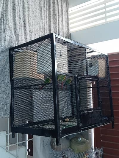 colonh cage for sale