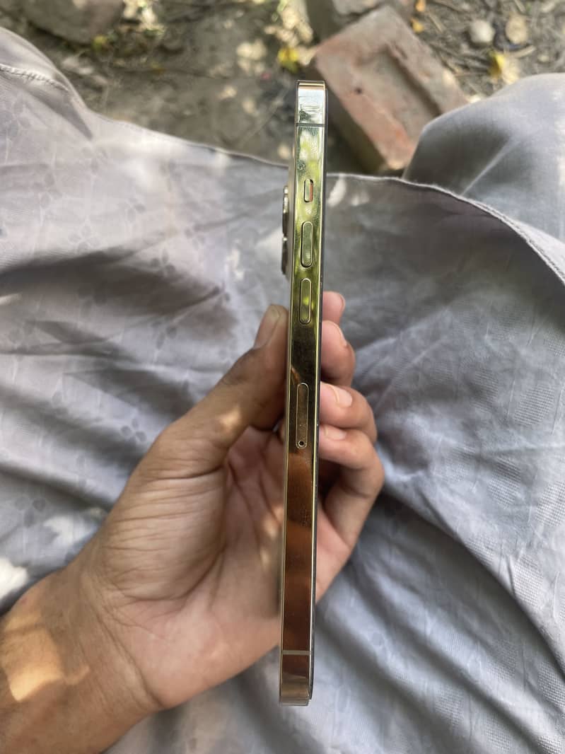 iPhone 12 pro max 3