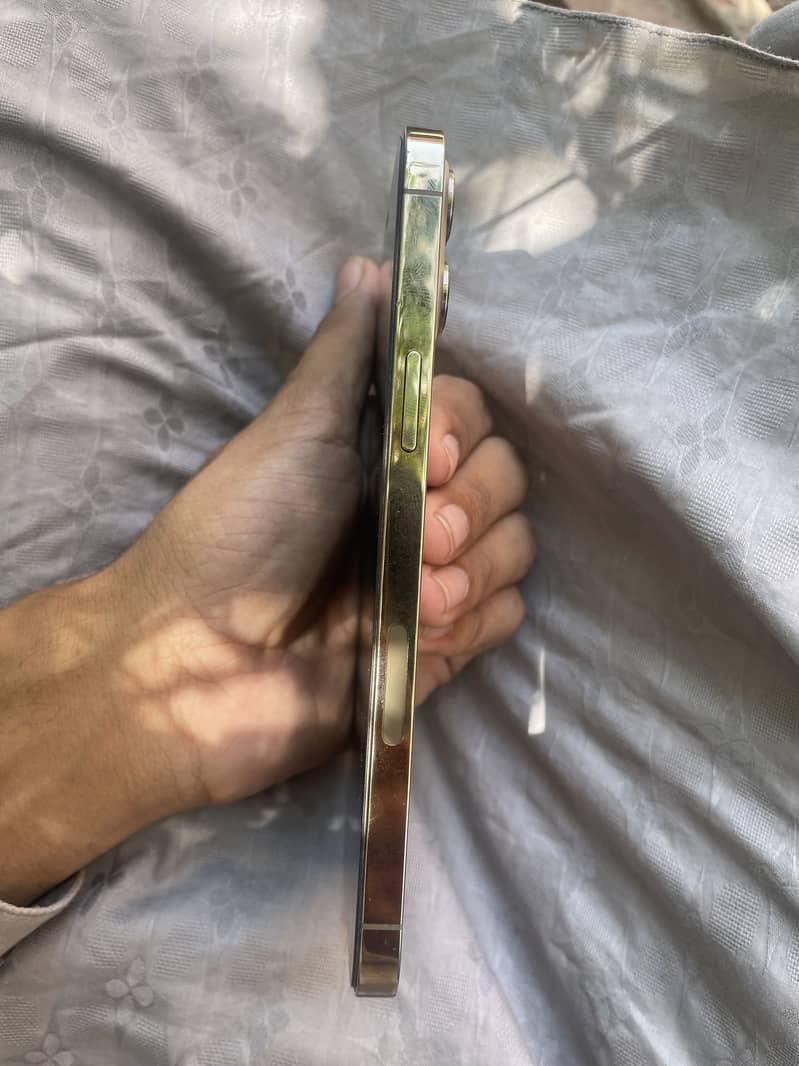 iPhone 12 pro max 5