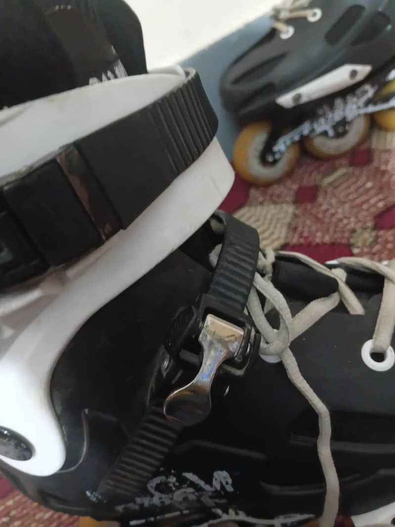 Skates 1