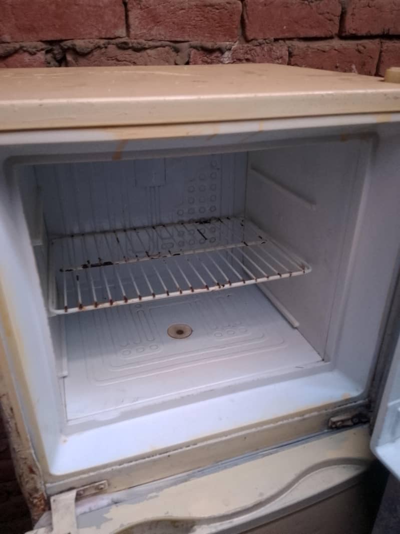 fridge 2