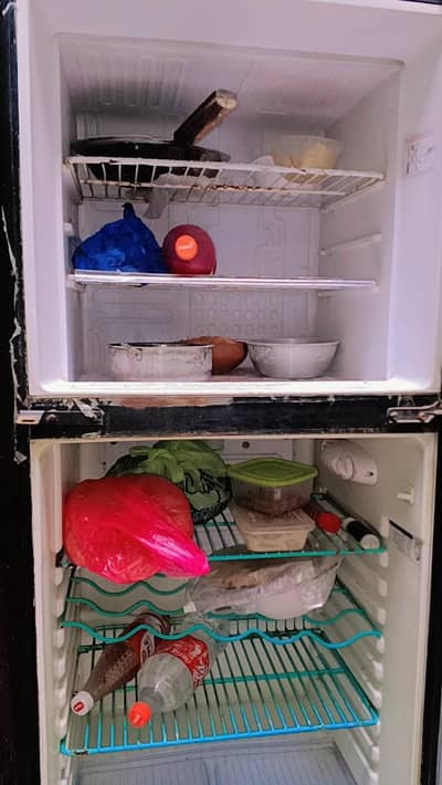 full size frig for sale