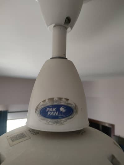 6 Pak Fans Home used Ceiling Fans for sale