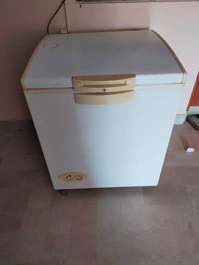 single door deepfreezer