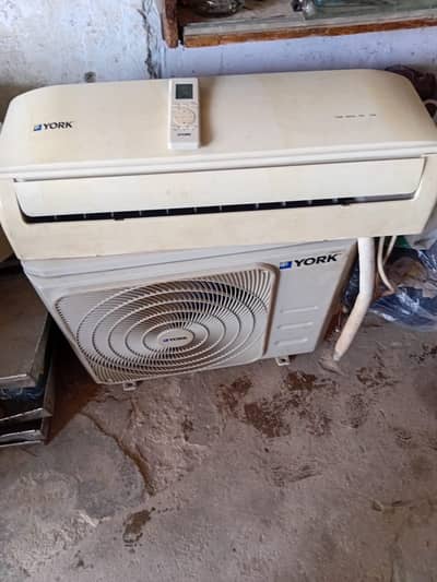 York Japanese AC