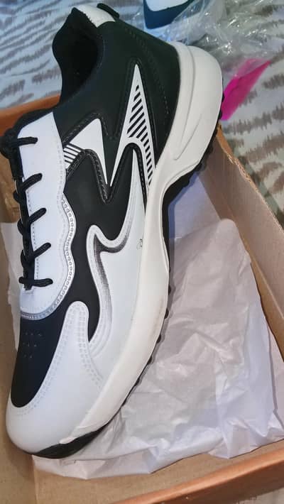 Sports and daily use shoes