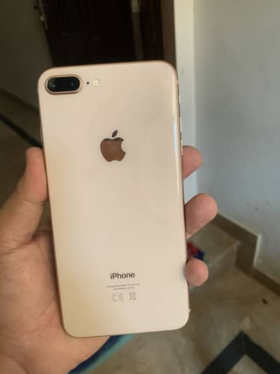 8 plus 256 gb factory