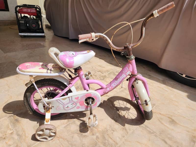 Kida Cycle 2