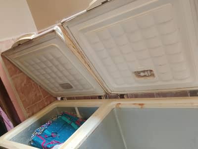 Waves Freezer for Sale – Excellent Condition