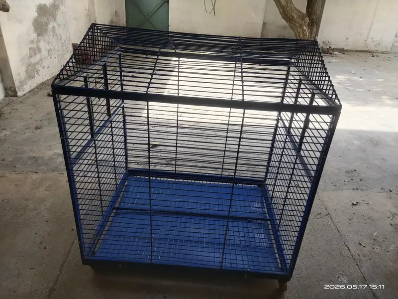 A Large Cage For Sale — photo 7