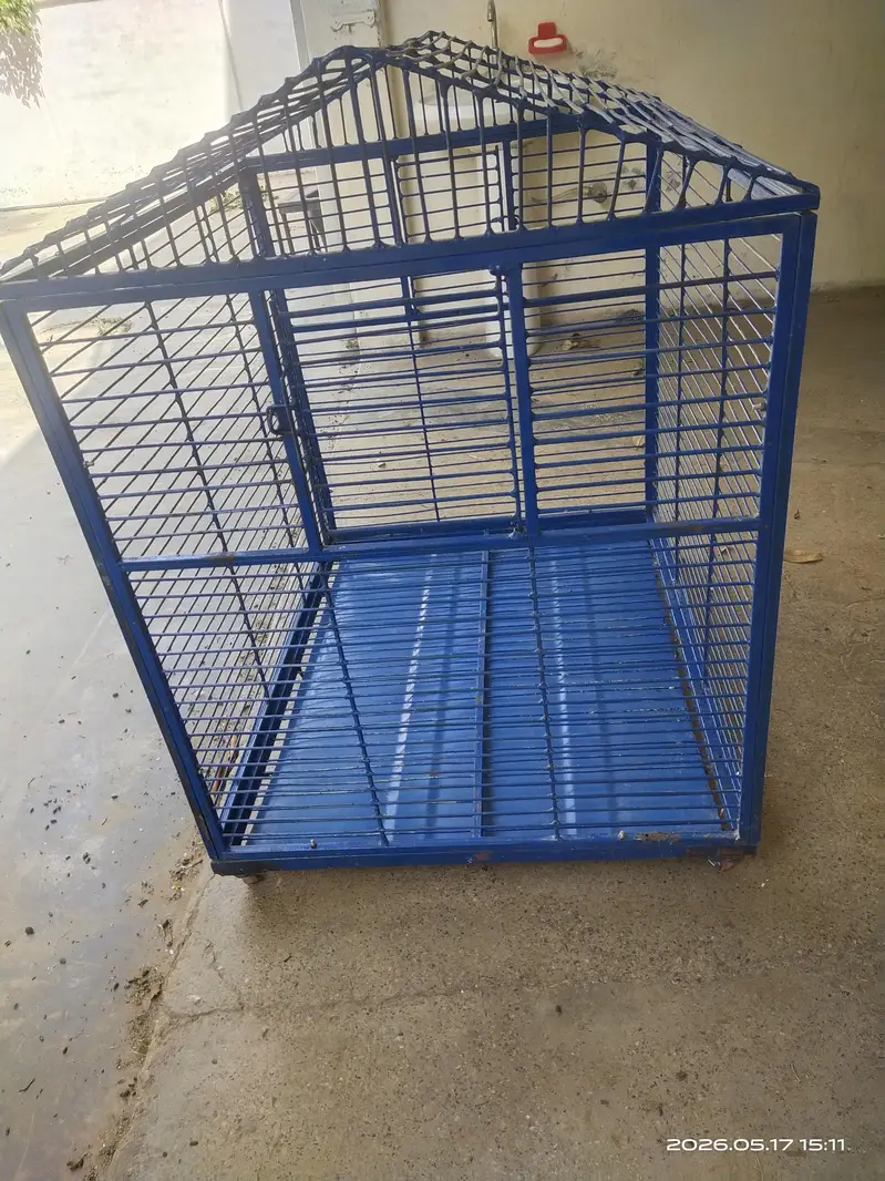 A Large Cage For Sale — photo 8