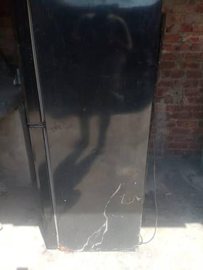 fridge orient