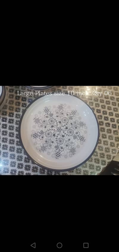 Elegant Platesand Bowls set in mint condition