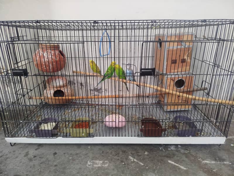 Parrot 0
