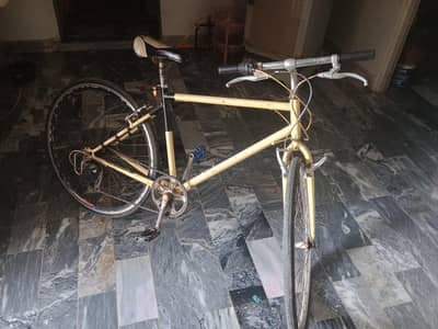 Sport cycle