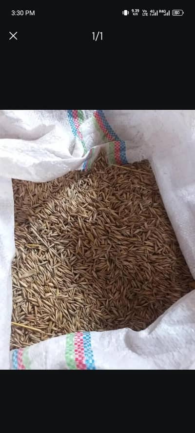 جوا jawa 5000 per mun