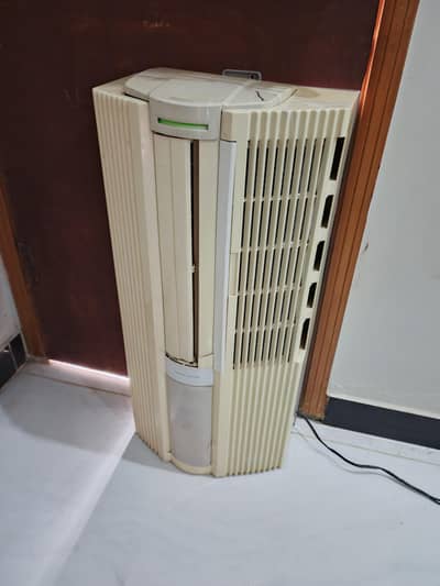 110 AC with 220V converter