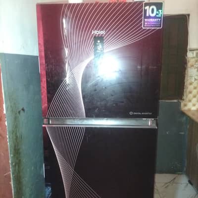 Haier Double Door Freezer – Used – Good Condition