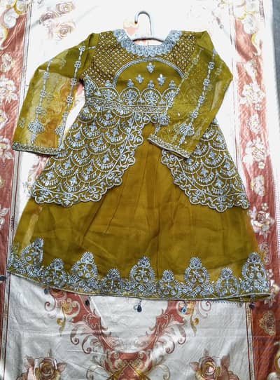 organza 3pc embroidery  dress with silver zari work|partywear