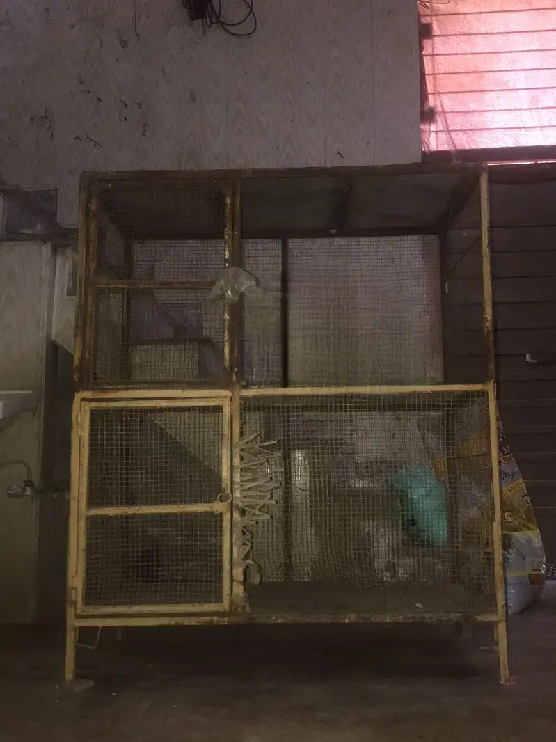 cage for sale — photo 2