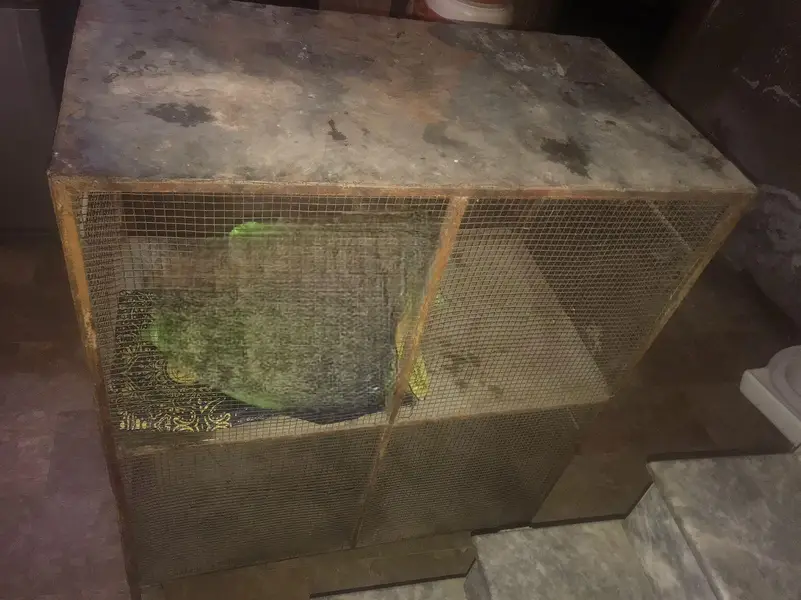 cage for sale — photo 3