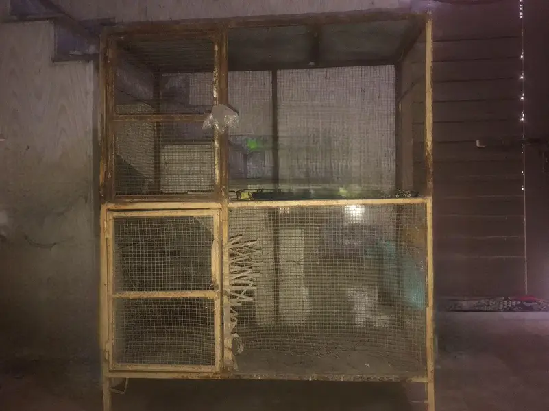 cage for sale — photo 6
