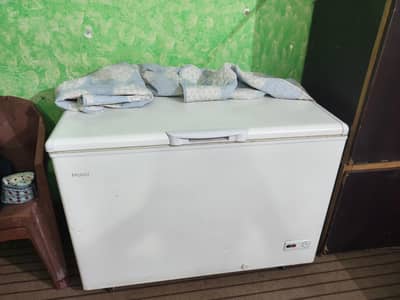 HAIER FREEZER NEW CANDATION