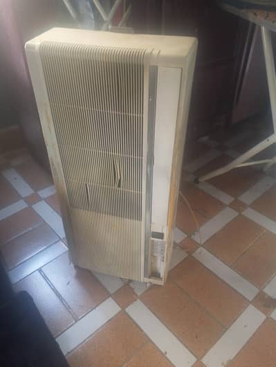 Portable Japanese 110v AC