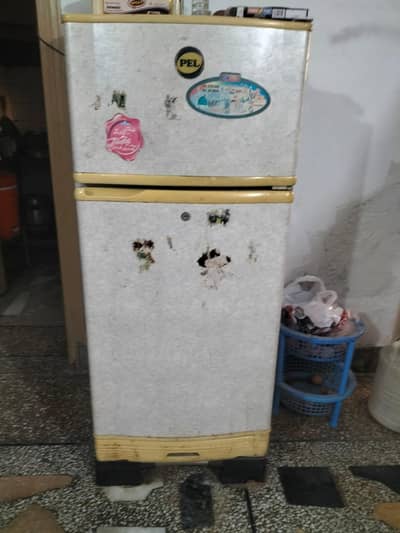PEL REFRIGERATOR