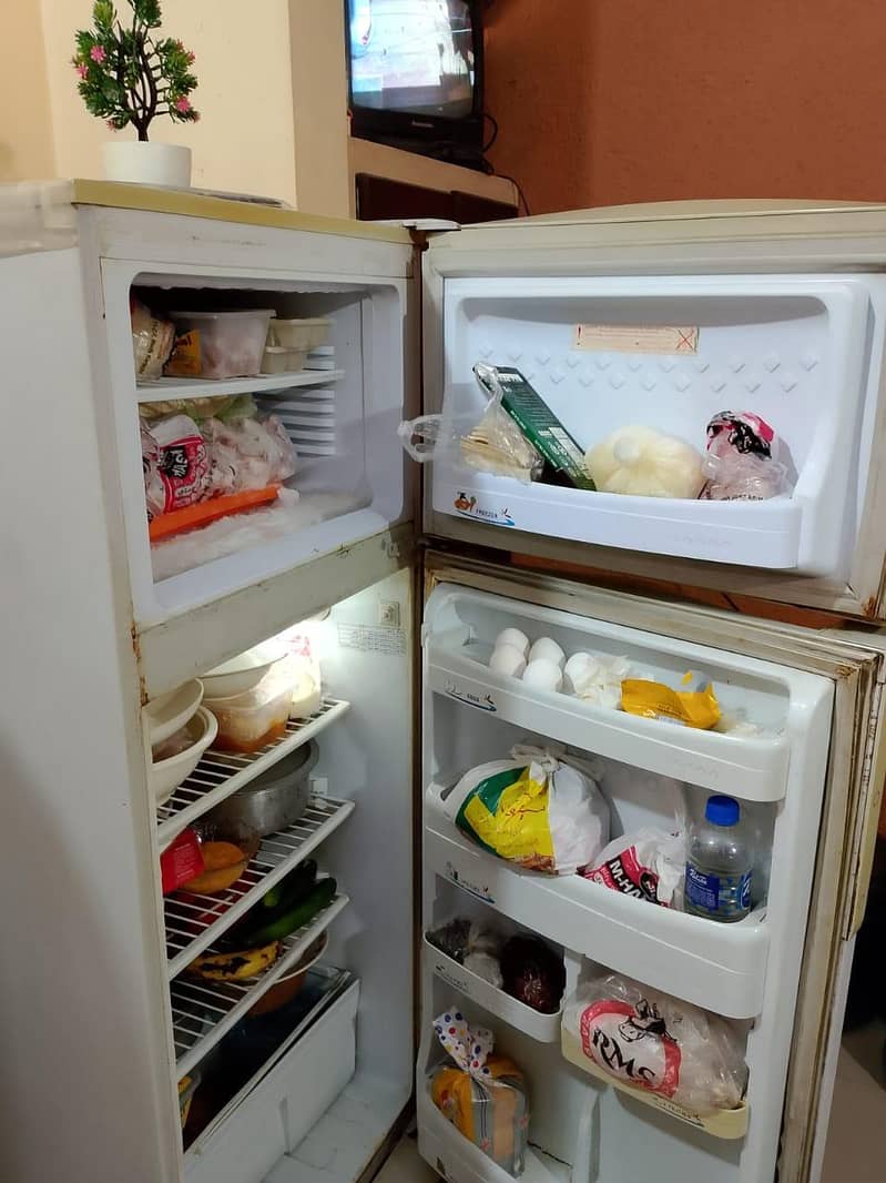 Pel refrigenerator 2