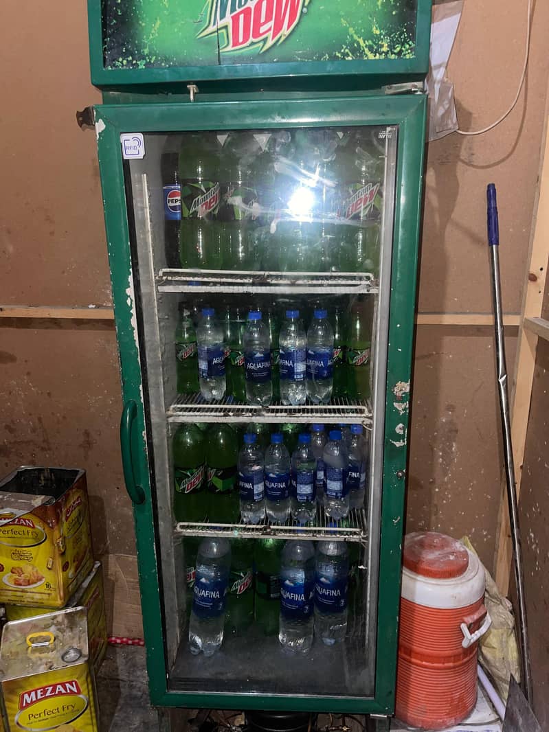 Deep freezer visicooler 2