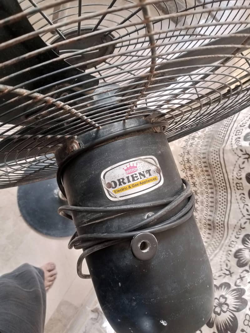 orient fan 1