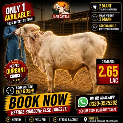 Qurbani bachray or bachriyan | Shehr k becho bech | Qurbani 2026