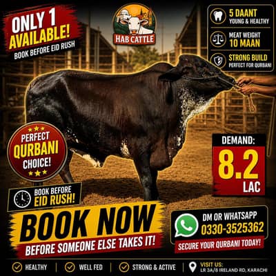 Qurbani bachray or bachriyan | Shehr k becho bech | Qurbani 2026