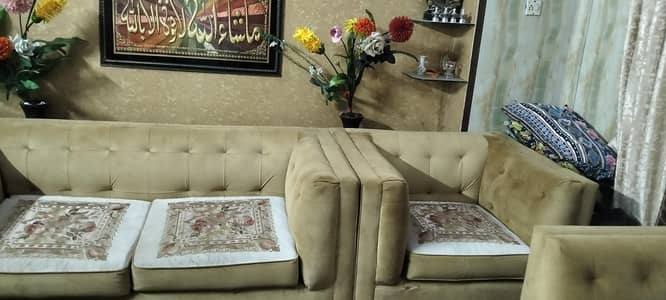 7 seter sofa set  gulden brown colour