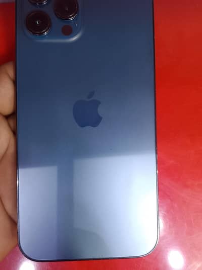 apple 12 pro max