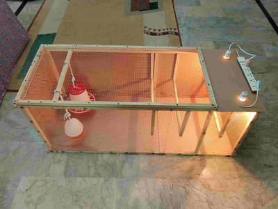 Brooder for chicks. Complete chick brooder.