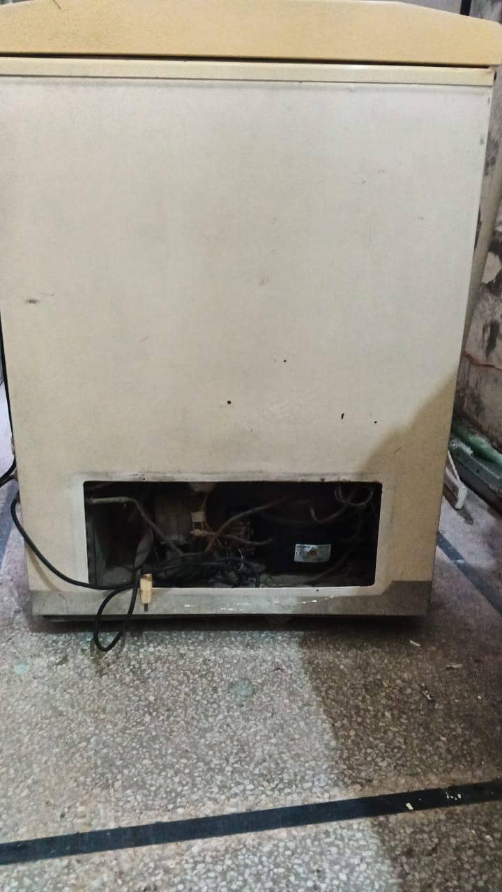 DEEP FREEZER 2