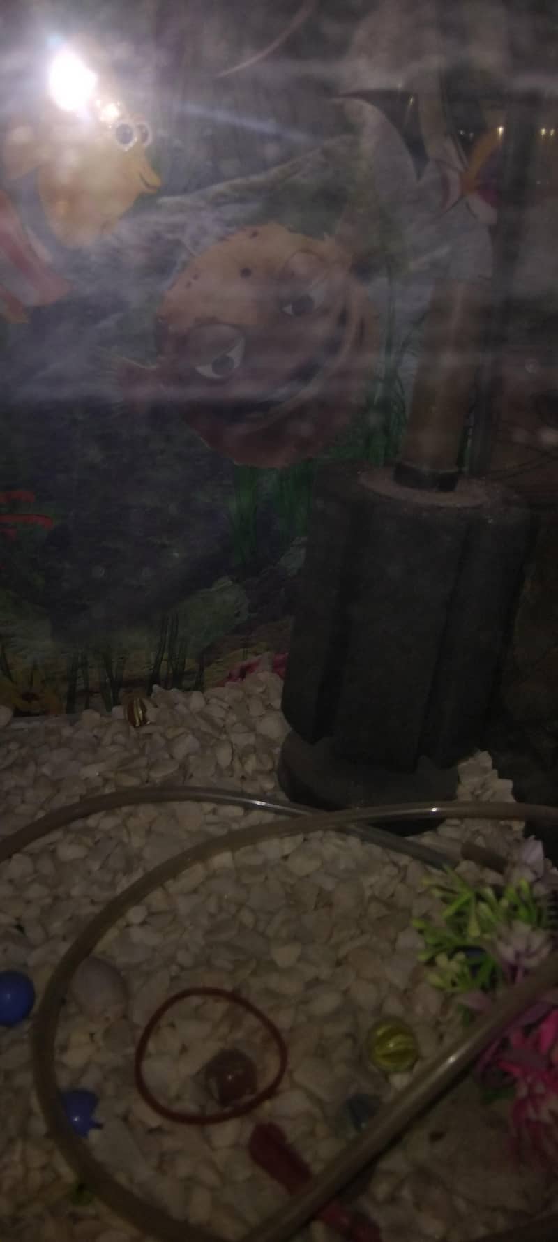 Fish Aquarium 1