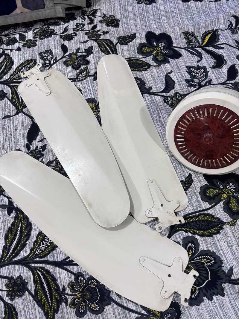 Wind fans 1